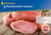 Kiepenkerl Pflanzkartoffel Heiderot 5 St