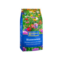 Kiepenkerl Blumenwiese Samen