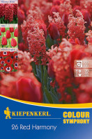 Kiepenkerl Colour Symphony Red Harmony