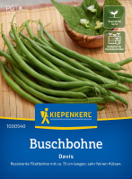 Kiepenkerl Buschbohne Davis