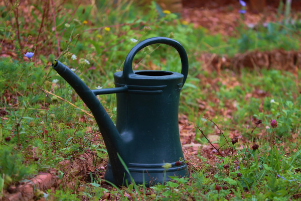 watering-can-5764764_1280