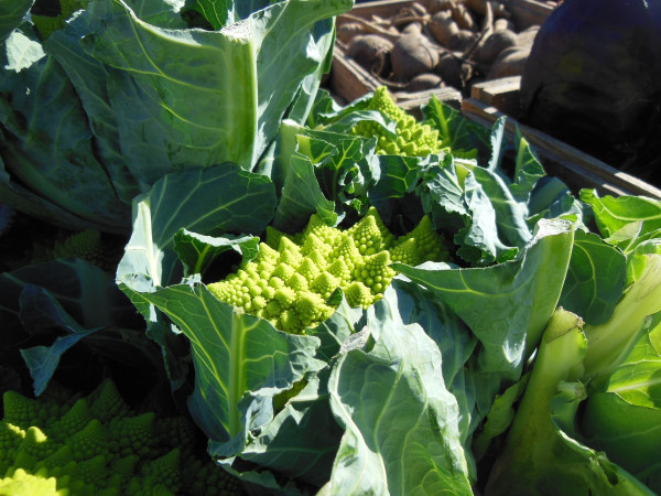 green-cauliflower-96893_1920