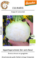 Culinaris BIO Kohlrabi Gigant/Superschmelz