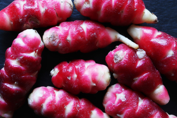 2400-bunch-of-oca