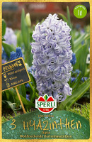 Sperli Premium Hyazinthe Aqua