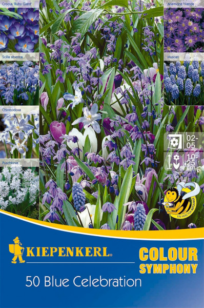 Produktbild von Kiepenkerl Colour Symphony Blue Celebration mit verschiedenen blauen Blumen und Verpackungsdetails.