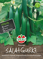 Sperli Salatgurke Flamingo, F1