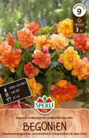 Sperli Begonie Golden Balcony Mix