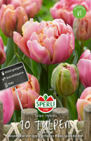 Sperli Gefüllte Späte Tulpe Pink Star