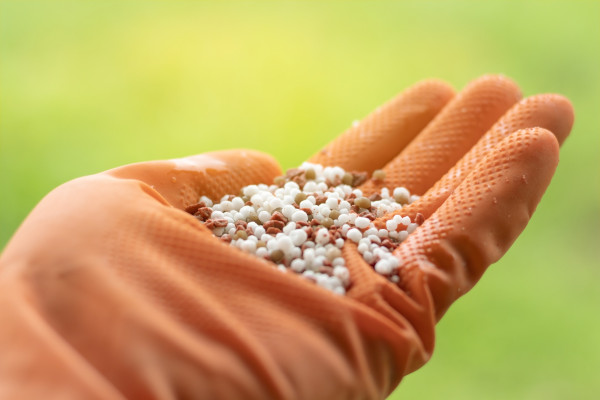 2400-glove-with-fertilizer-1