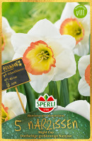 Sperli Premium Großkronige Narzisse Night Cap