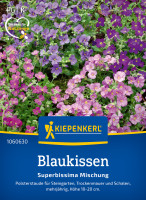 Kiepenkerl Blaukissen Superbissima Mischung