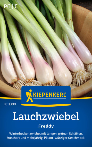 Kiepenkerl Lauchzwiebel Freddy