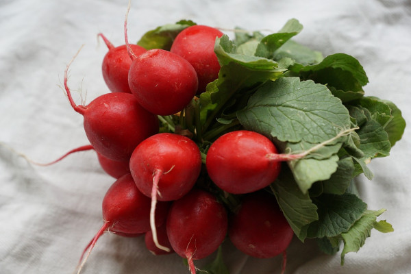 radish-761280_1280