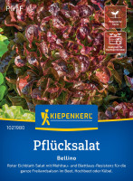 Kiepenkerl Pflücksalat Bellino (Schnittsalat)