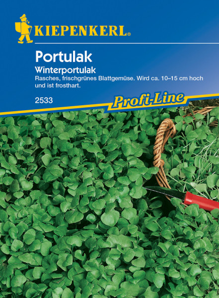 Produktbild von Kiepenkerl Winterportulak Saatgutverpackung mit Produktinformationen und Abbildung der Pflanze.