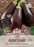 Sperli Aubergine Galine, F1