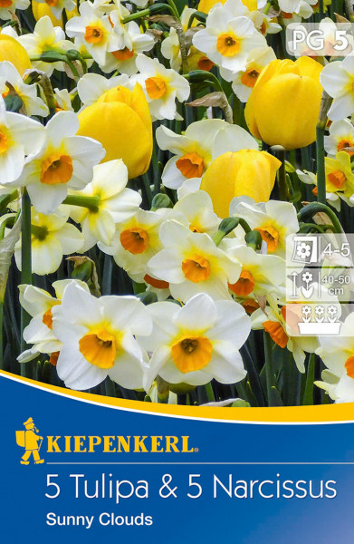 Produktbild Kiepenkerl Tulpen-Narzissen-Mischung Sunny Clouds mit gelben und weißen Blüten vor blauem Hintergrund und Firmenlogo.