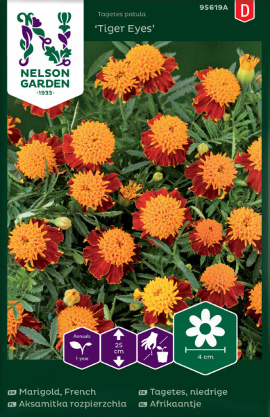 Produktbild von Nelson Garden Niedrige Tagetes Tiger Eyes mit orangefarbenen Blumen auf der Verpackung und Pflanzinformationen in verschiedenen Sprachen.
