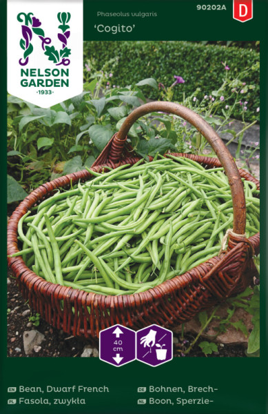 Produktbild von Nelson Garden Brechbohne Cogito Saatgutverpackung mit einem gefüllten Korb grüner Bohnen im Vordergrund und Anbauinformationen in mehreren Sprachen.