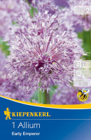 Kiepenkerl Zierlauch Early Emperor