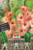 Sperli Gladiole Sabor