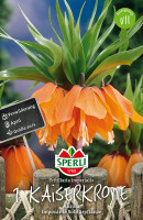 Sperli Kaiserkrone Aurora