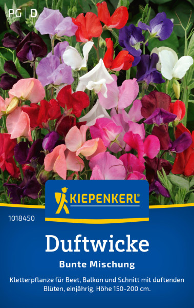 Kiepenkerl Duftwicke Bunte Mischung