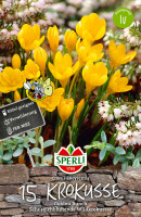 Produktbild von Sperli Wildkrokus Golden Bunch mit gelben Krokussen vor Steinumrandung und Hinweis auf Eignung für Kübel sowie Verwilderung,... Produktbild von Sperli Wildkrokus Golden Bunch mit gelben Krokussen vor Steinumrandung und Hinweis auf Eignung für Kübel sowie Verwilderung, Verpackungsdesign enthält Markenlogo und Blütezeitangabe