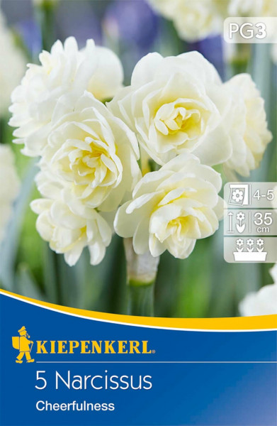 Produktbild von Kiepenkerl Poetaz Narzisse Cheerfulness mit Abbildung der weißen Blüten und Verpackungsinformationen wie Pflanzanleitung und Blütezeit in deutscher Sprache.
