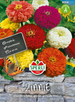 Sperli Zinnie Dahlienblütige Mischung
