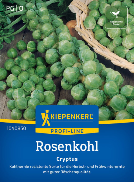 Kiepenkerl Rosenkohl Cryptus F1
