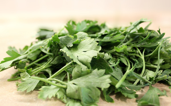 parsley-2475526_1920