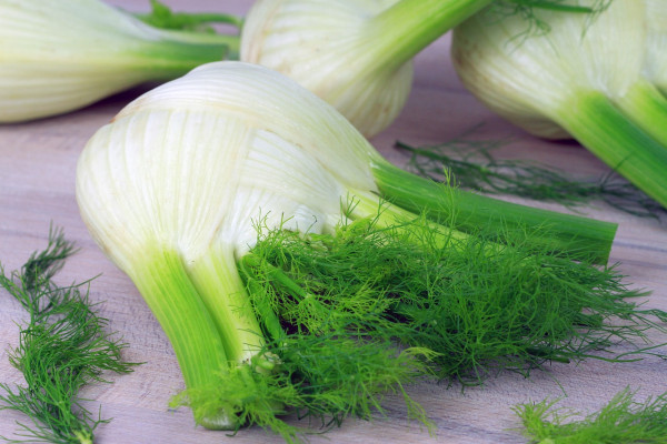 fennel-5413705_1280