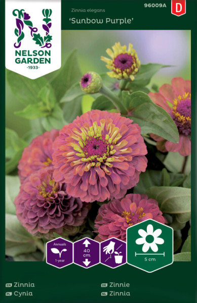 Produktbild von Nelson Garden Zinnie Sunbow Purple mit Abbildungen von lila Blüten Informationen zu Pflanzenart Wuchshöhe und Blütengröße in verschiedenen Sprachen