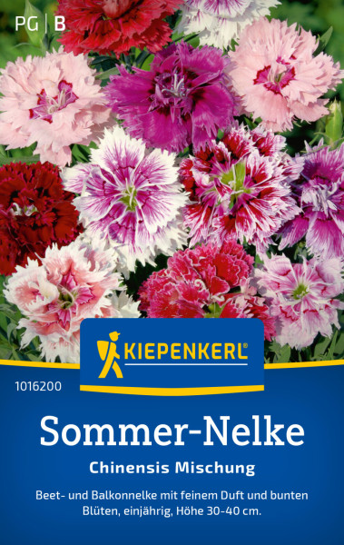 Kiepenkerl Sommer-Nelke Chinensis Mischung