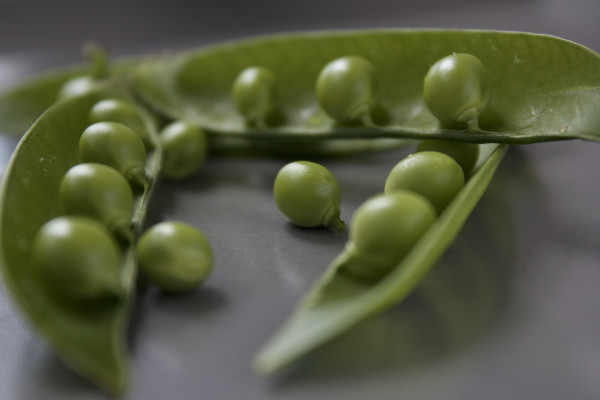 peas-6581613_1920