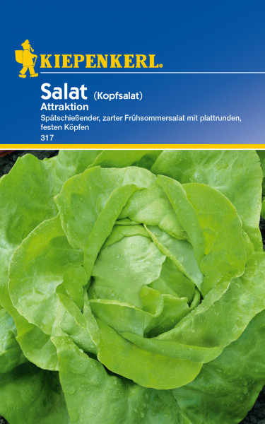 Produktbild von Kiepenkerl Kopfsalat Attraktion mit einer Abbildung von frischem grünen Salat und Verpackungsinformationen in deutscher Sprache