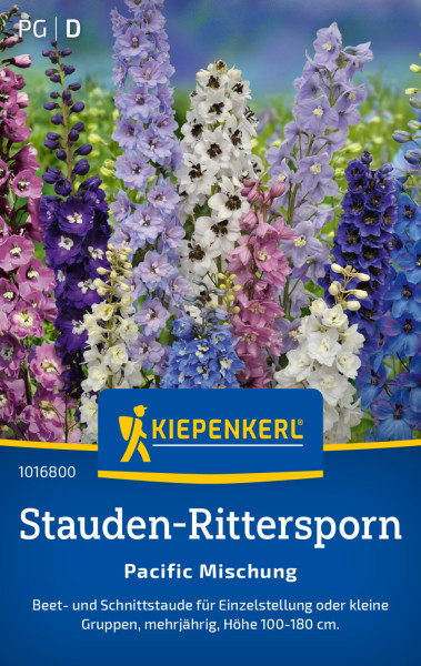 Kiepenkerl Stauden-Rittersporn Pacific Mischung