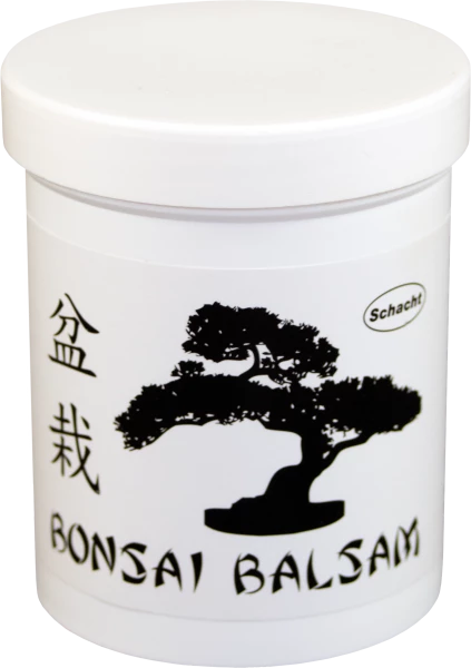 Nhrstoffmangel bei Bonsai erkennen | Samen.de