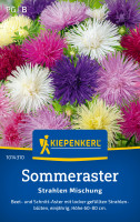 Kiepenkerl Sommeraster Strahlen Mischung