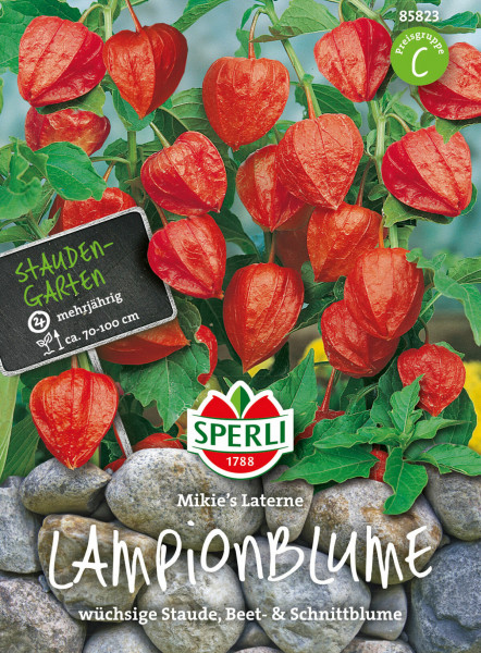 Produktbild von Sperli Lampionblume Mikies Laterne mit roten Blüten und Informationen zu Pflanzenhöhe sowie Hinweis auf mehrjährige Staude und Beet- und Schnittblume