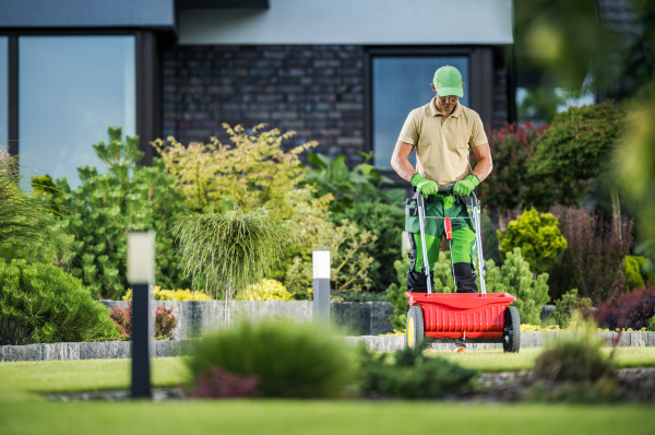 2400-grass-fertilizing-using-push-spreader