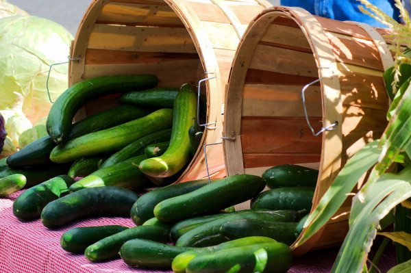 farmers-market-cucumbers-3858540_1920