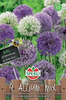 Sperli Maxi Großblumiger Zierlauch Mix