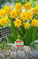 Sperli Botanische Narzisse Tête Bouclé