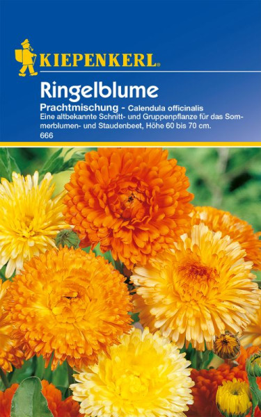 Produktbild von Kiepenkerl Ringelblume Prachtmischung mit mehreren orange und gelben Blüten und Produktinformationen auf Deutsch.