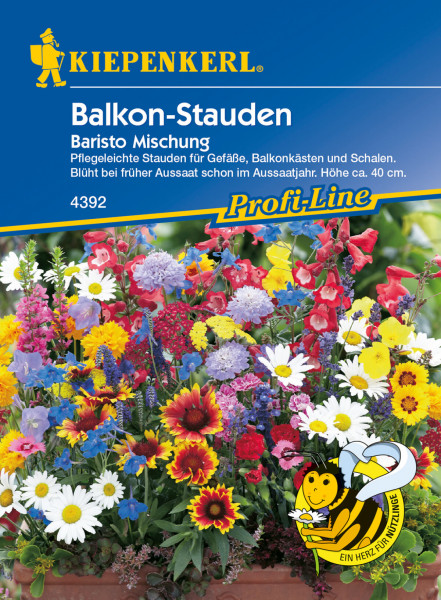 Kiepenkerl Blumenmischung Balkon-Stauden Baristo