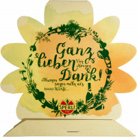 Sperli 10 Saatgut-Sticks zur einfachen Anzucht, Steinkraut