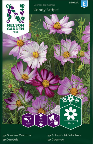 Produktbild von Nelson Garden Schmuckkörbchen Candy Stripe mit Abbildungen von pinken und weißen Blüten und Informationen zur Pflanzenart sowie Wuchshöhenangaben.